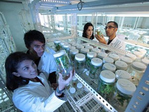 秋思手机号轰炸平台